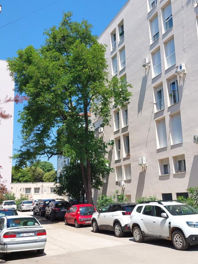 זאדאר Marinero Apartment מראה חיצוני תמונה